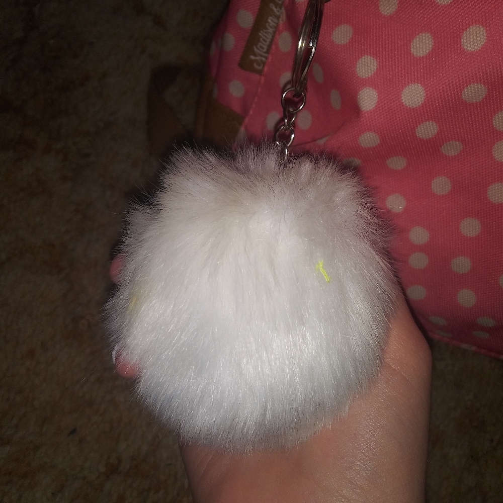 Backpack - Picture 3 of 5